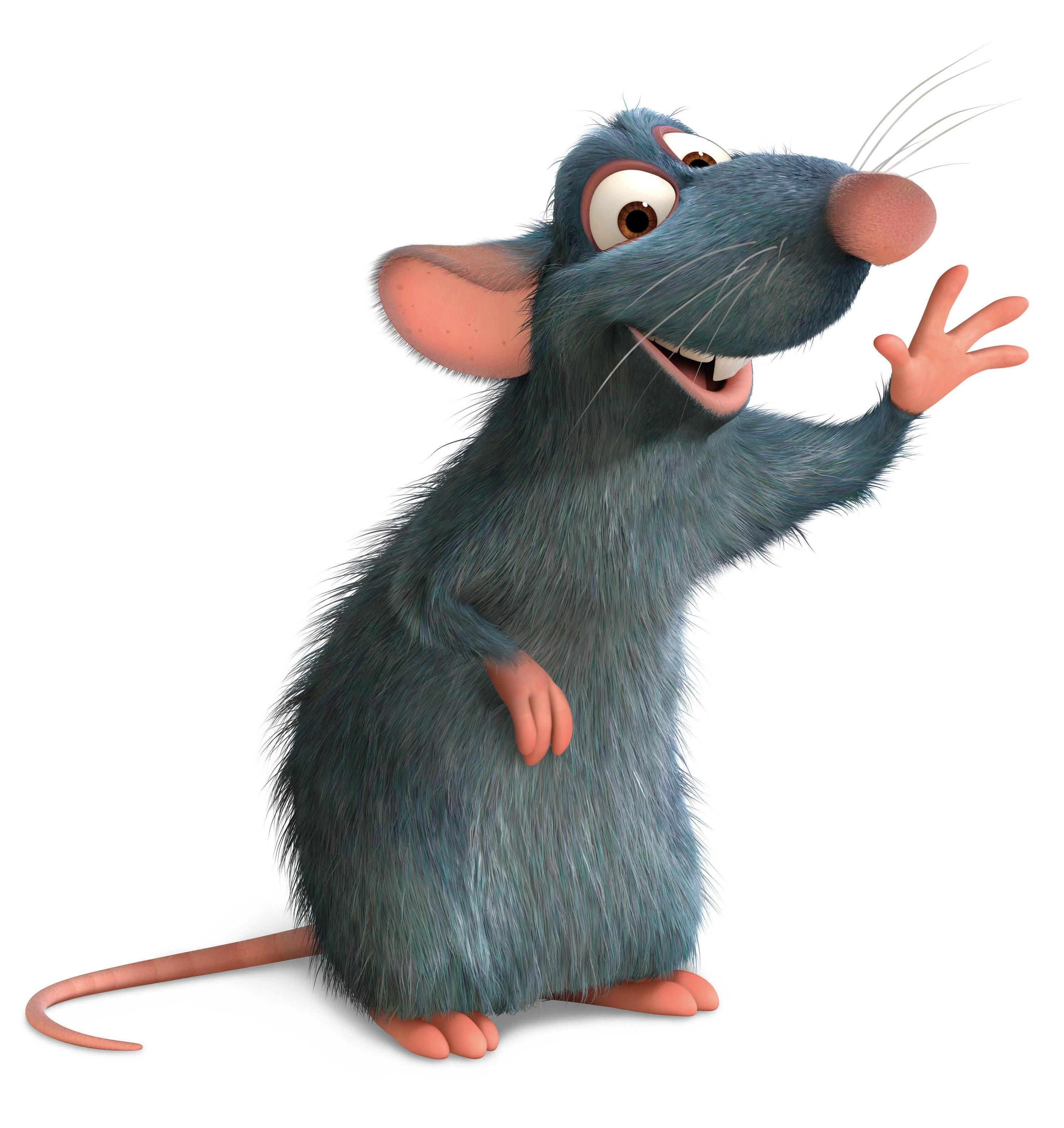rats