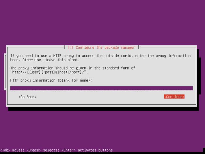 Ubuntu Server 14.04 set proxy